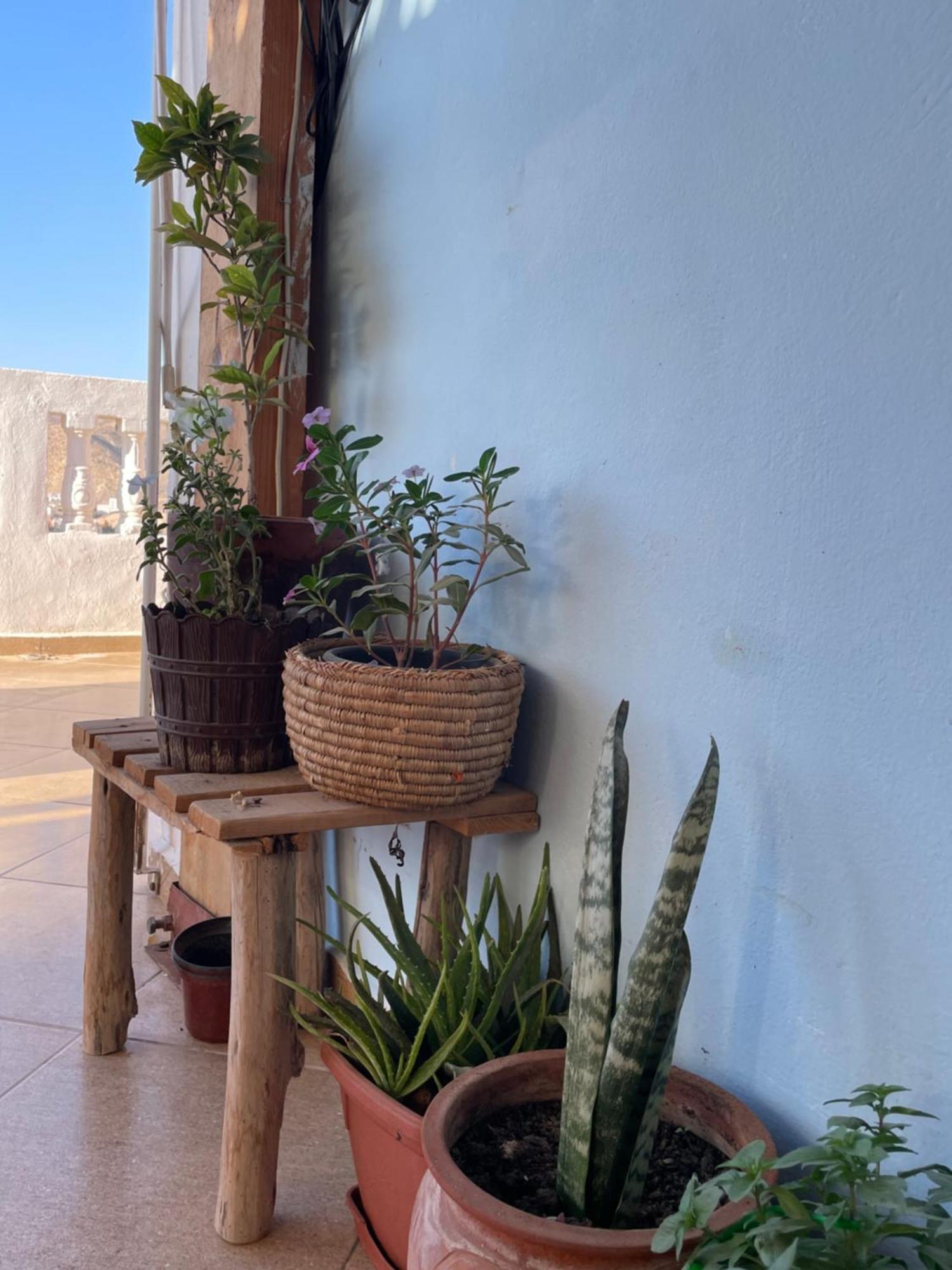 Kosasurfmorocco Hotel Awrir Bagian luar foto